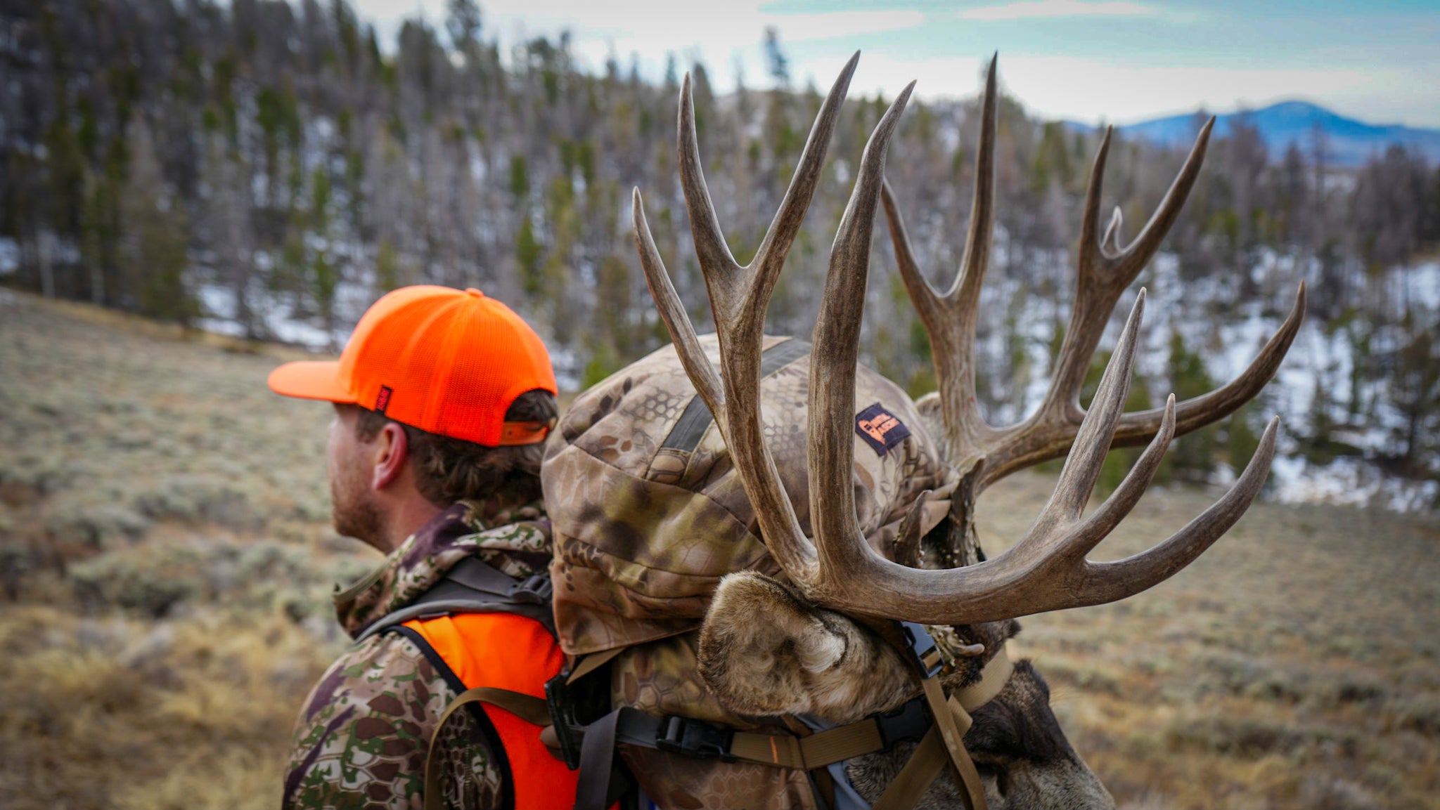 Aaron Van Woerkom's 200 inch buck