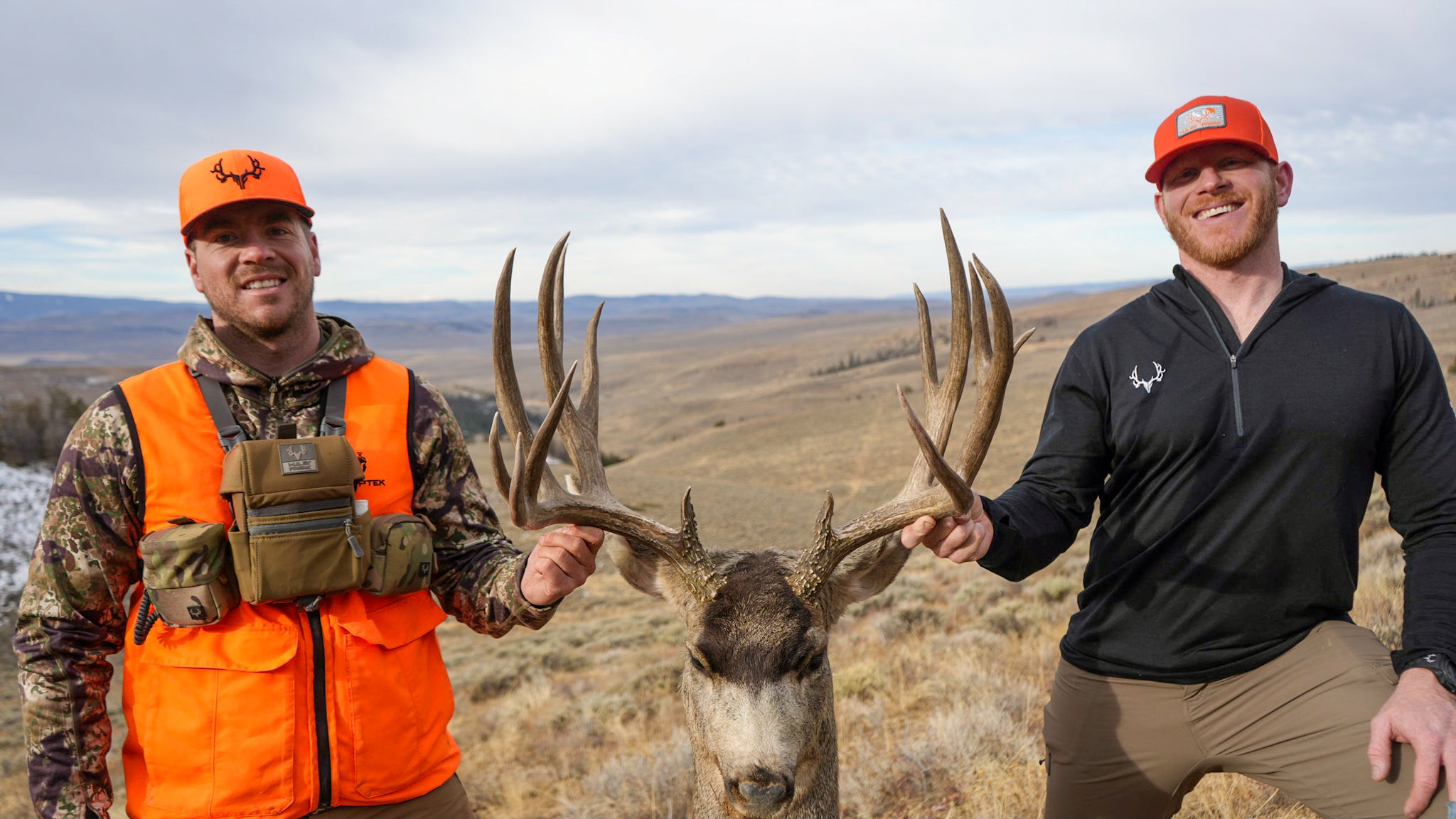 200 inch mule deer buck - Muley Freak