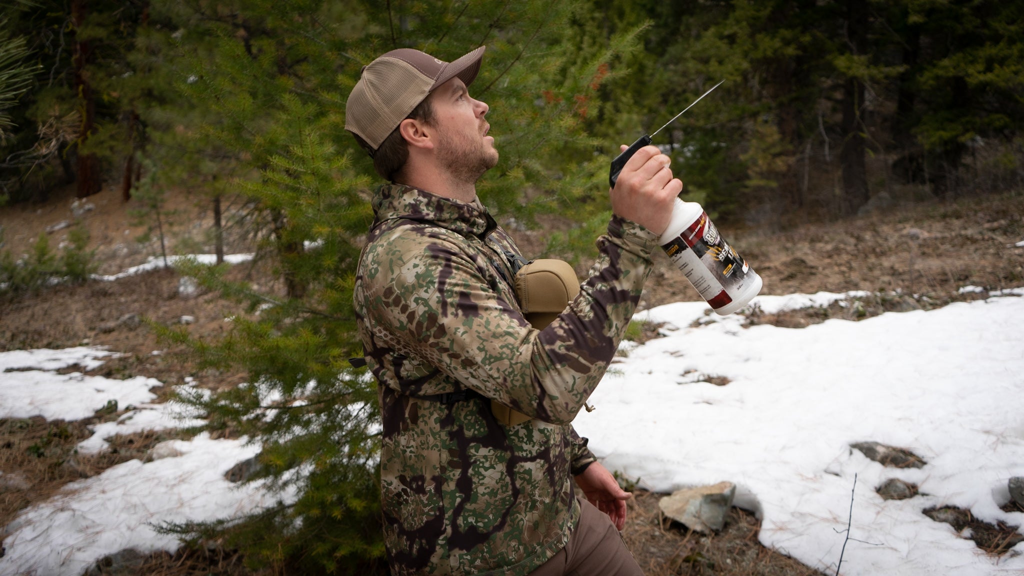 spraying bear attractant on trees