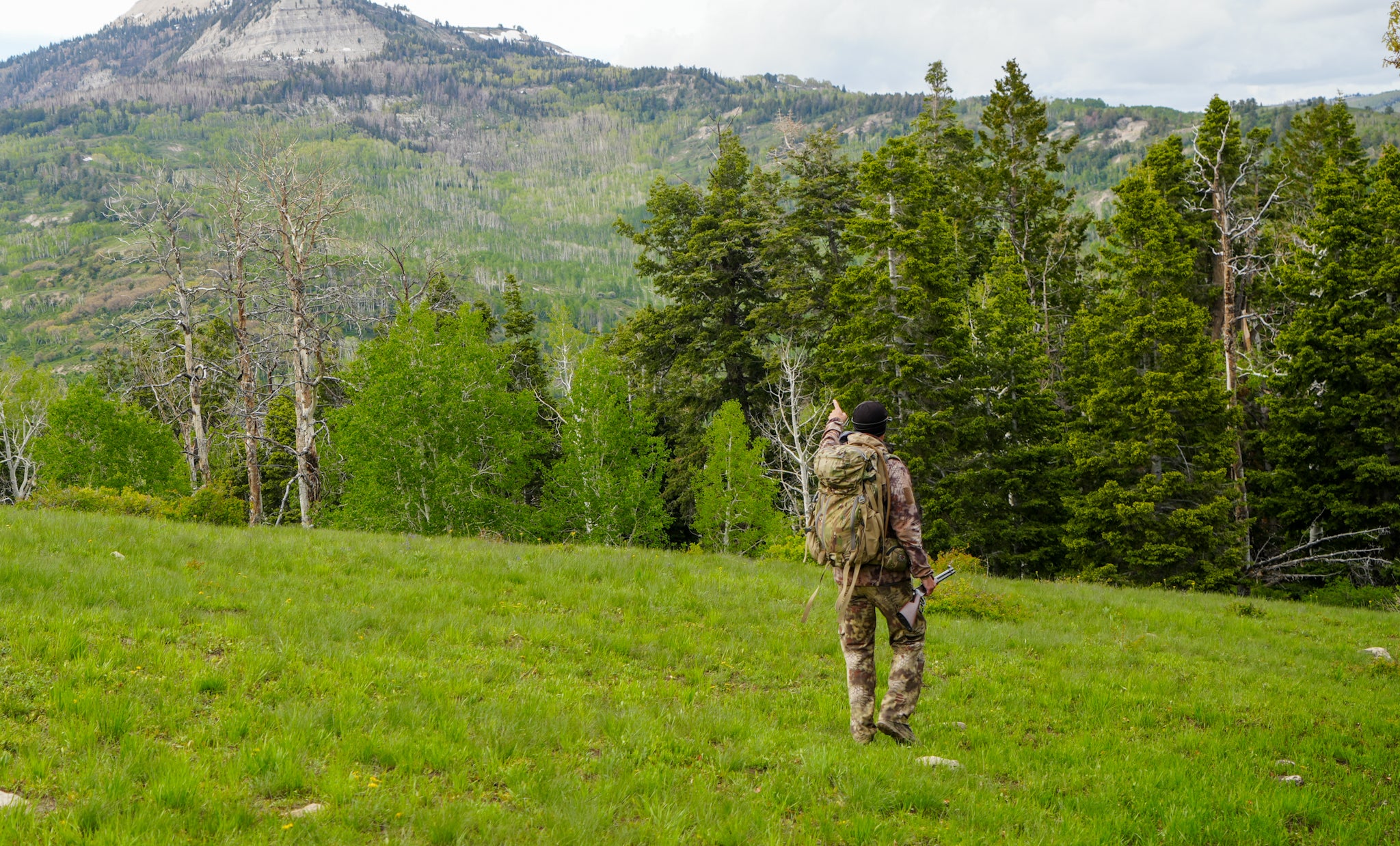 hiking in to the bear bait site