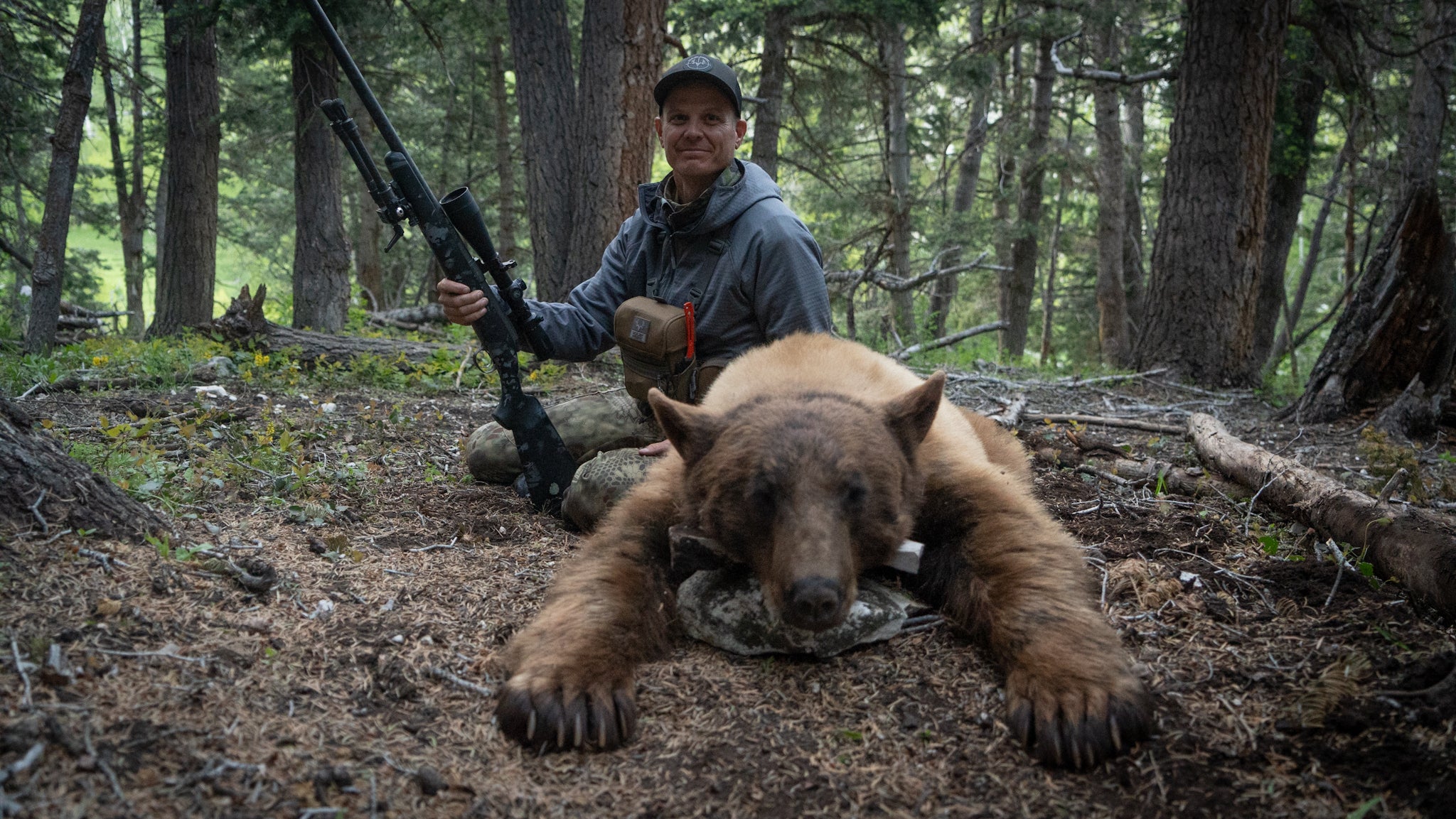 chasse à l'ours appâté réussie