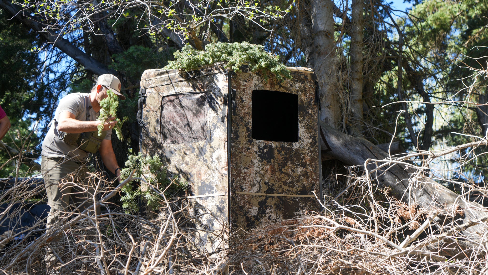 setting up a blind by the bear bait site