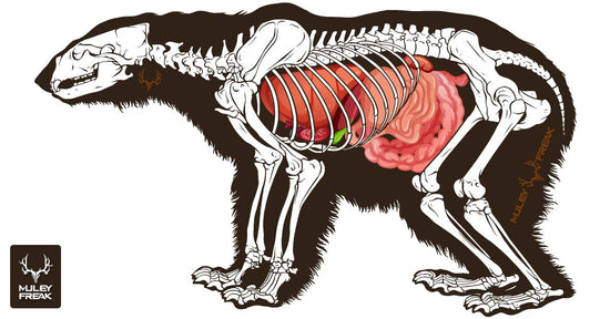 Trucs et astuces pour le placement des tirs d'ours - Muley Freak