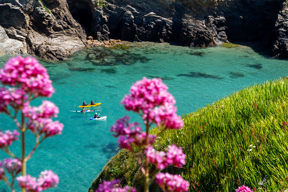 people kayaking through blue crystal clear water with pink flowers in foreground