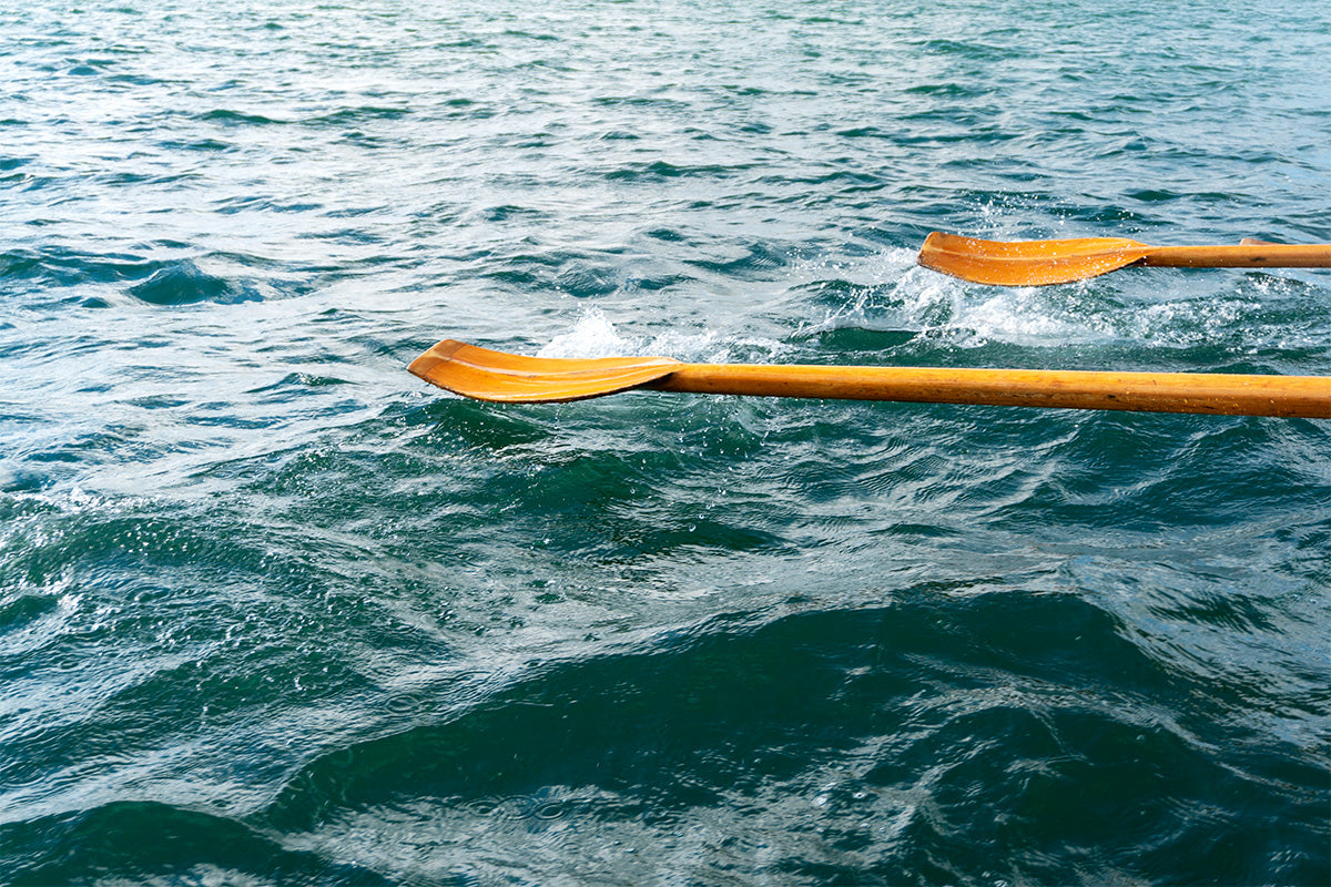 oars on the water