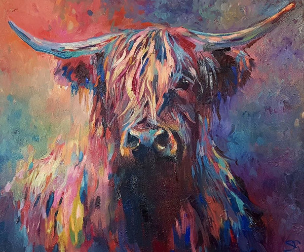 scottish highland cattle canvas pictures