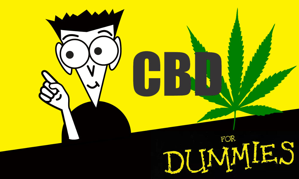 CBD 101 CBD for Dummies