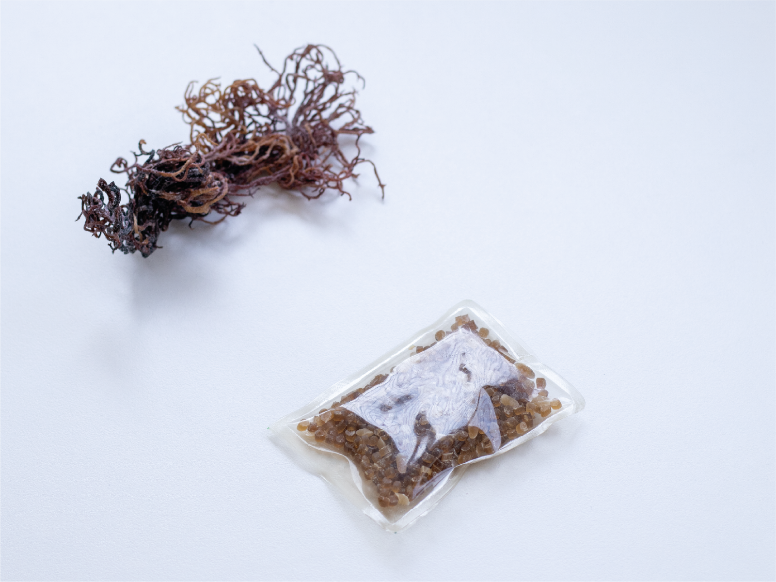 Red Seaweed with Flexsea bioplastic film