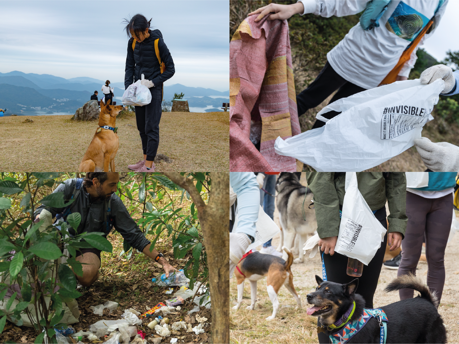 Hike Cleanup