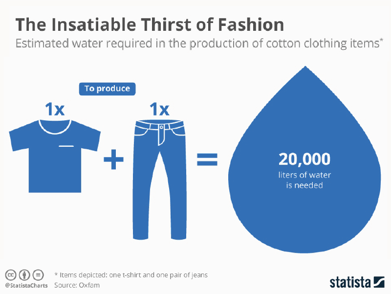 The Insatiable Thirst of Fashion which stated that estimated water required in the production of cotton clothing items. 