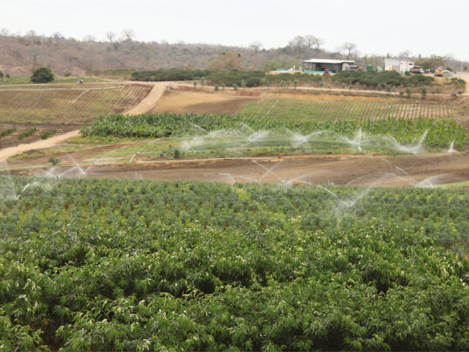 Reuse wastewater from the distillation process for irrigation