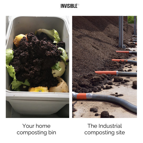 Home composting vs industrial composting bag