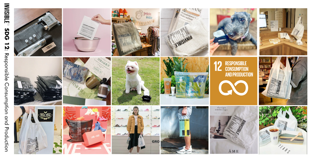 Invisible Company on SDG 12. Responsible Consumption and Production
