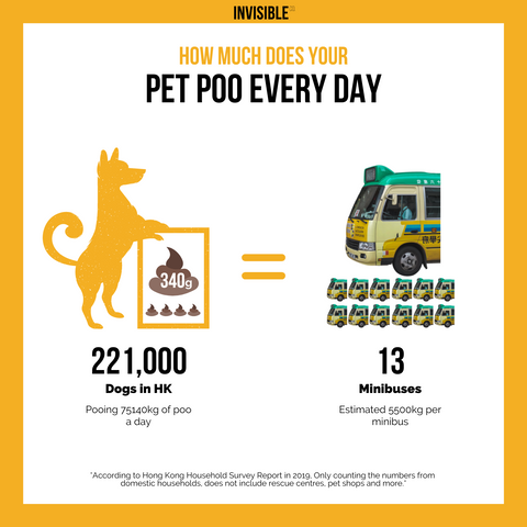 Pet waste produced in Hong Kong Everyday