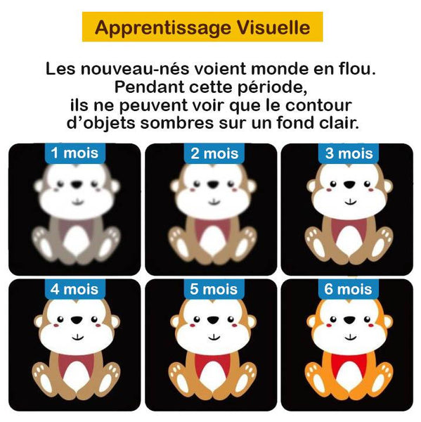 Cartes Montessori De Stimulation Visuelle Pour Bebe Les Boutchoux