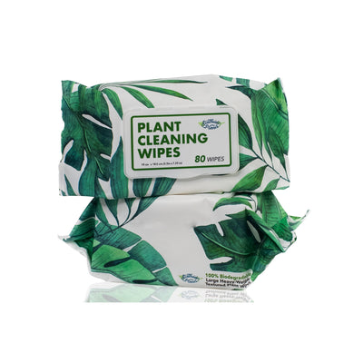 Houseplant Cleaning and Dusting Wipes