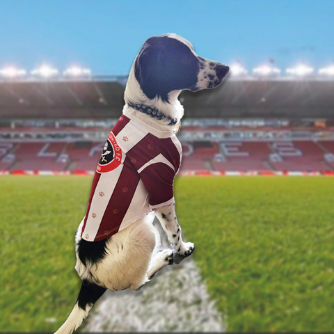 Sheffield United Dog Jersey/Pet Jersey