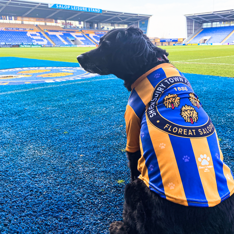 Shrewsbury FC Dog Jersey