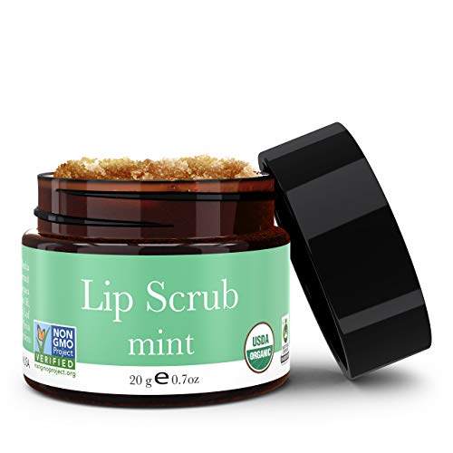 Organic Lip Balm (Variety Pack of 6) - My CareCrew