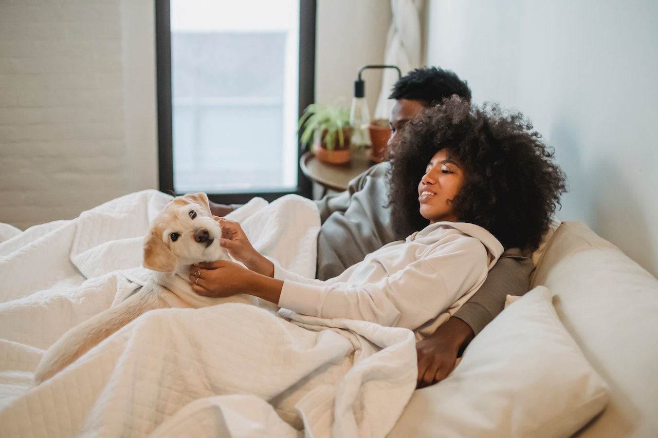 Couple in bed with a dog