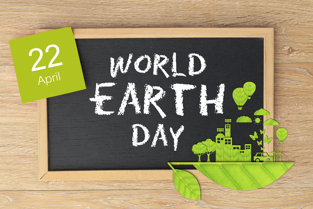 What is earth day and 5 things you should know about it – littleplants.ie