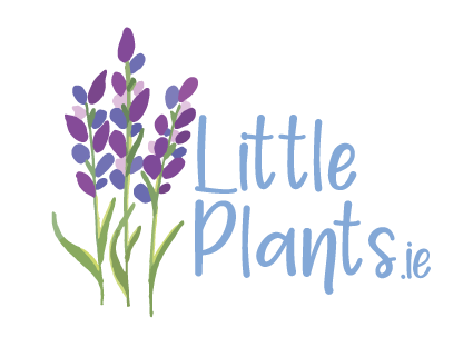 littleplants.ie