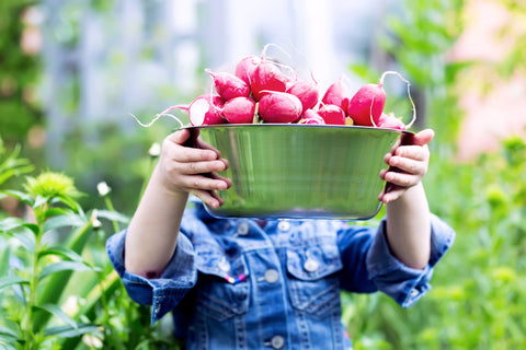 Radishes