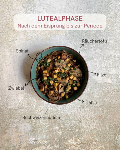 pasta für den Zyklus Lutealphase