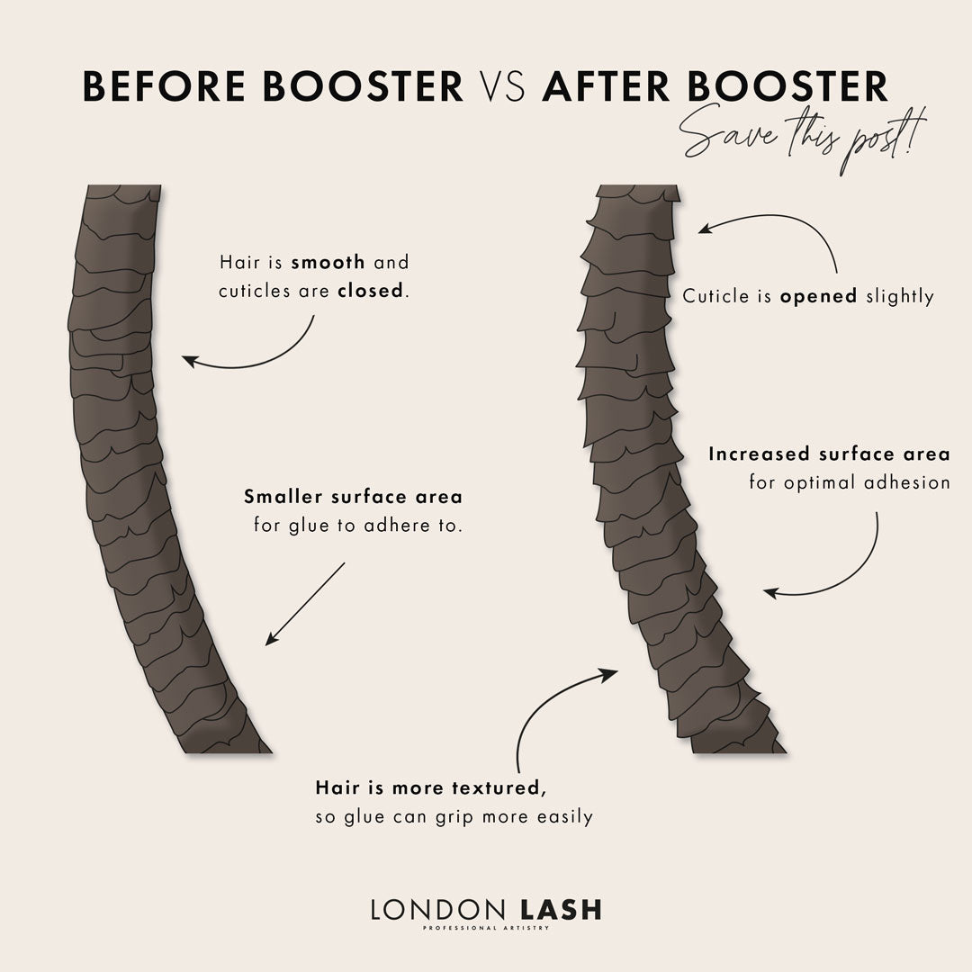 Infographic On The Benefits of Booster