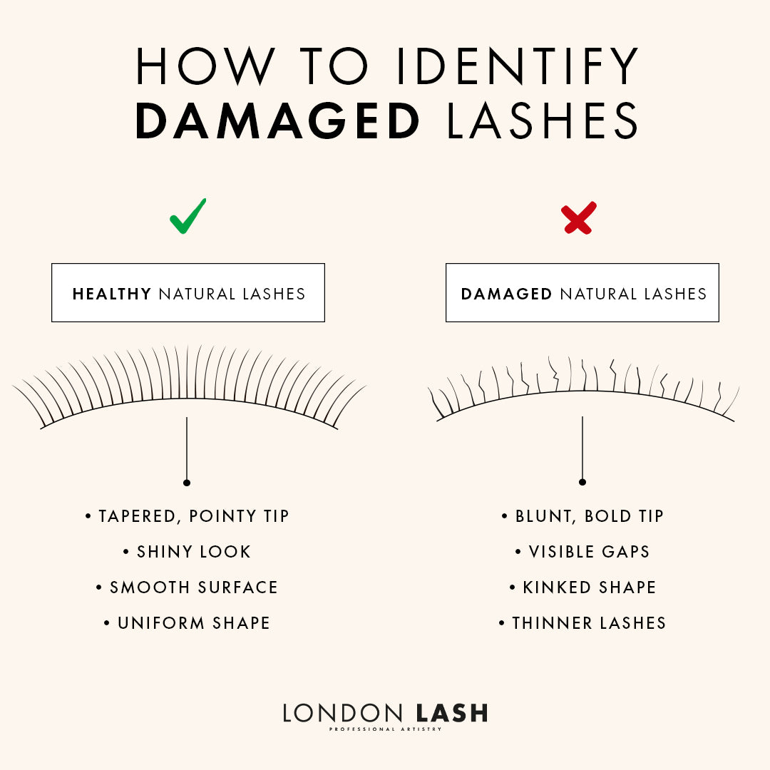 How to Identify Damaged Lashes Infographic