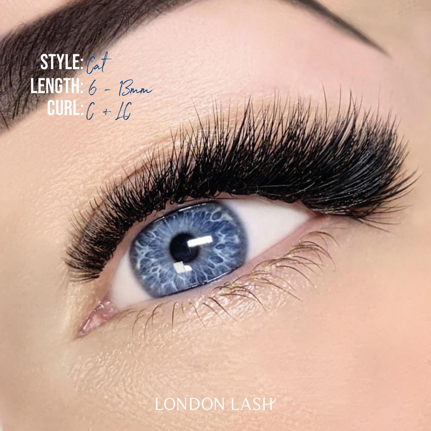 Cat Eye Lash Extensions Using C and LC Lash Curls