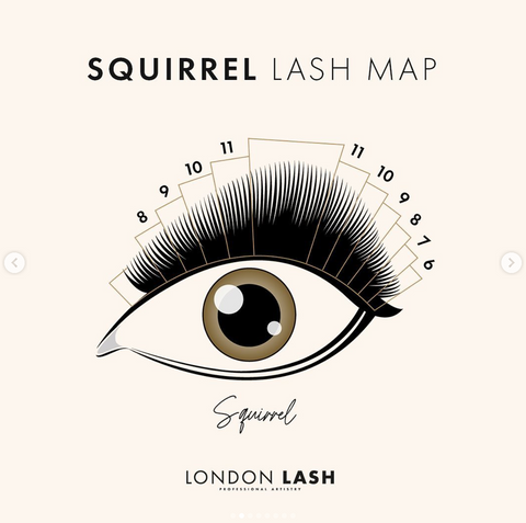 London Lash Squirrel Lash Map for Lash Artists