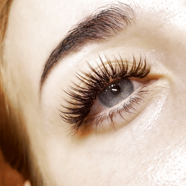 Black Brown Lashes on Model Gif