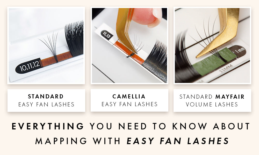 Comparing Easy Fanning Lashes and Regular Volume Lash Fans