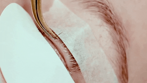 Isolating Lashes Using Micropore Tape And Tweezers GIF