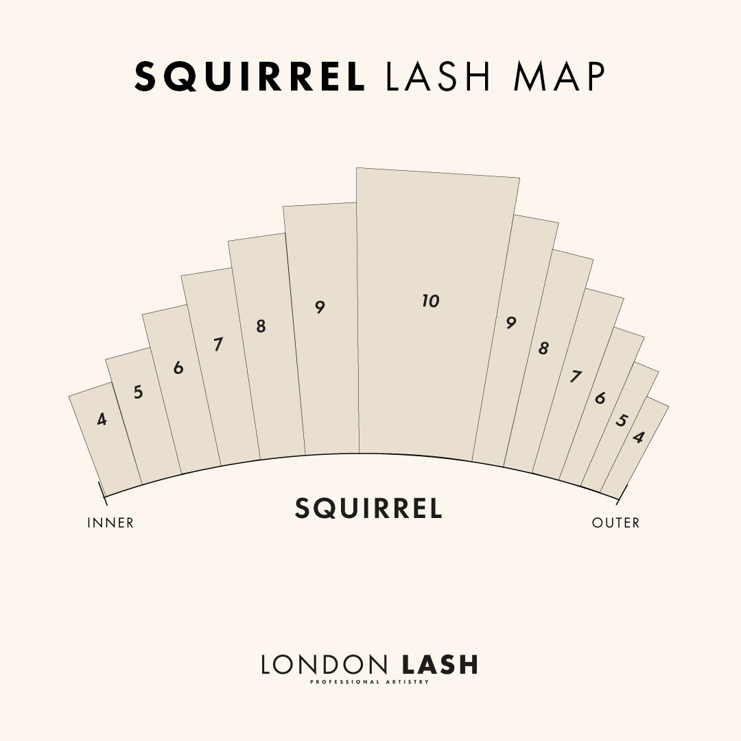 Squirrel Lash Extensions Map for Men