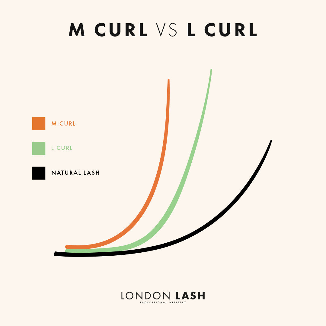M VS L Curl Lash Extensions Infographic