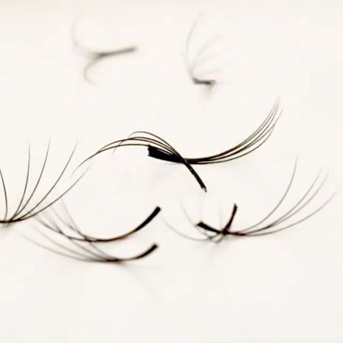 London Lash Premade Mayfair Lash Fans