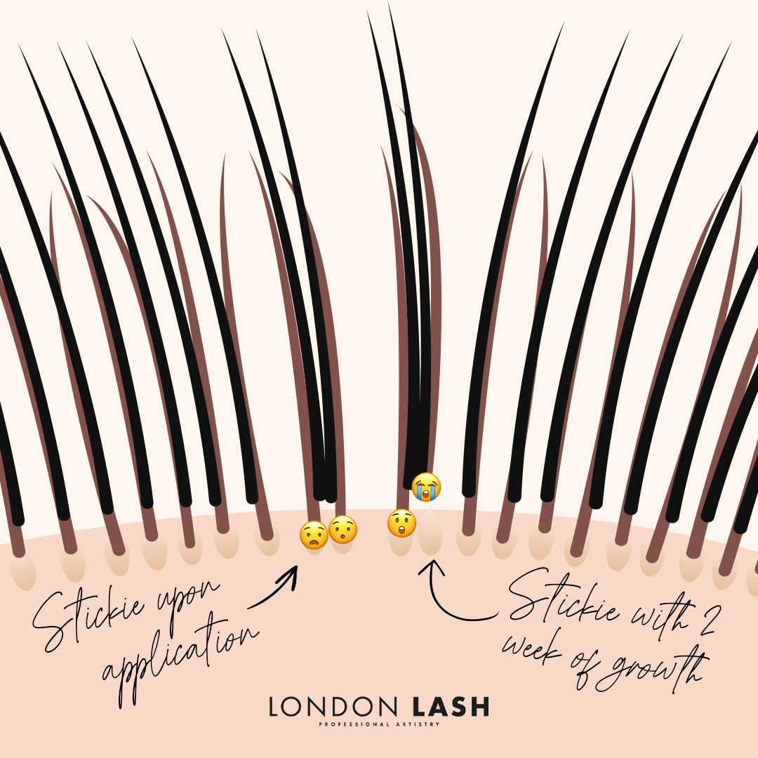 London Lash Stickies Diagram