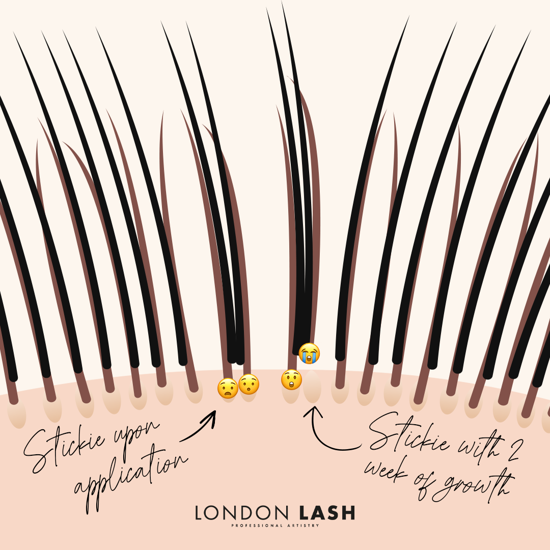 Infographic of Lash Extension Stickies