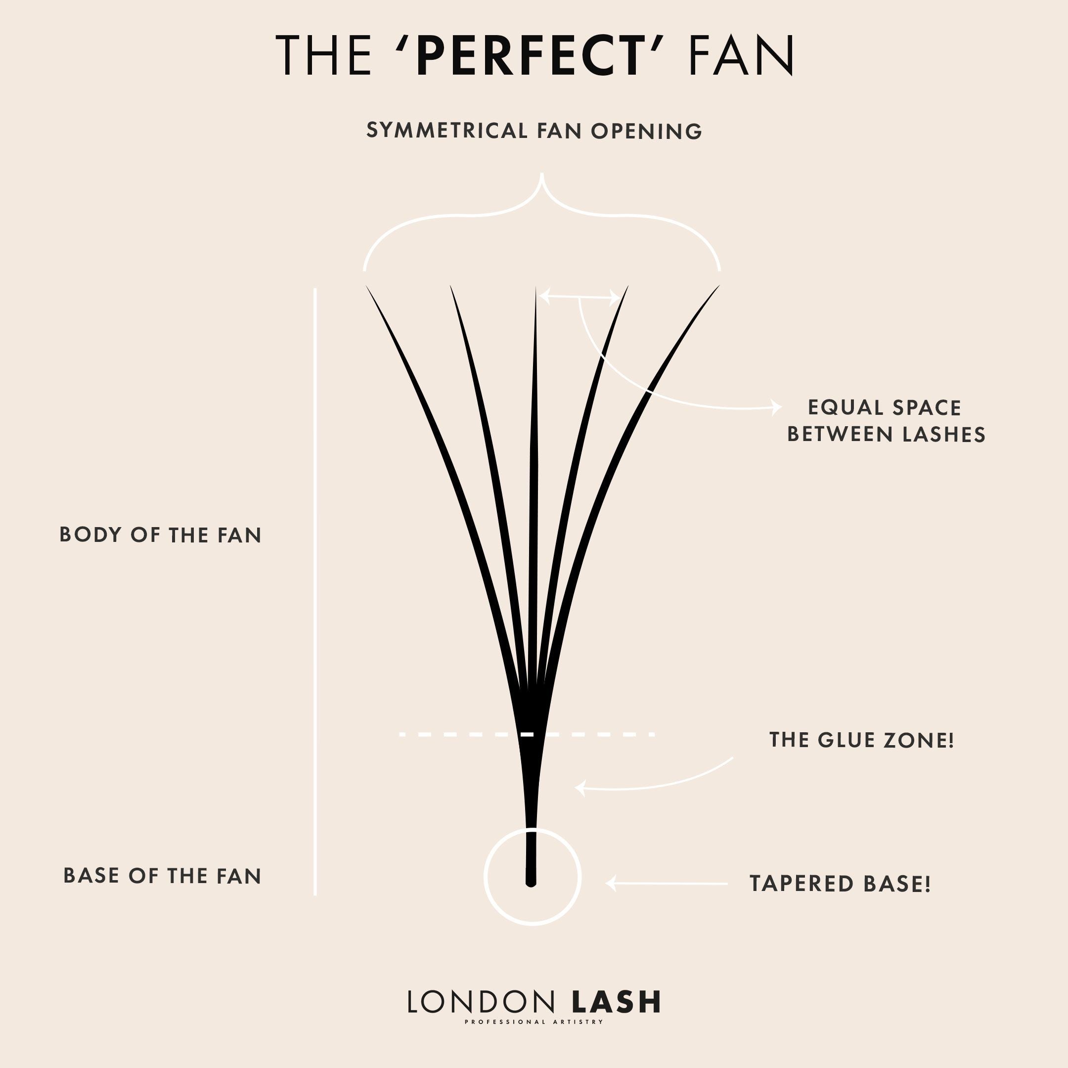 Infographic of the Perfect Handmade Lash Fan