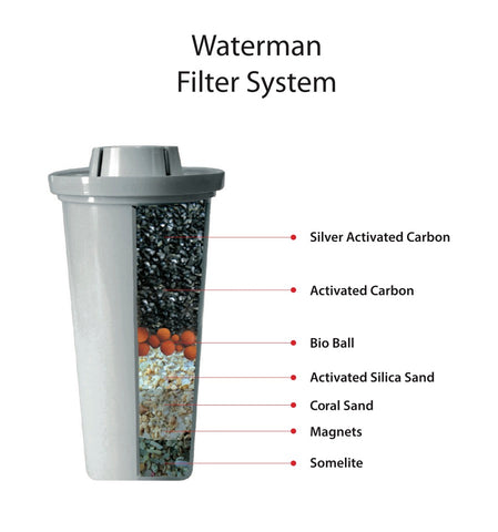 Waterman portable filter cartridge