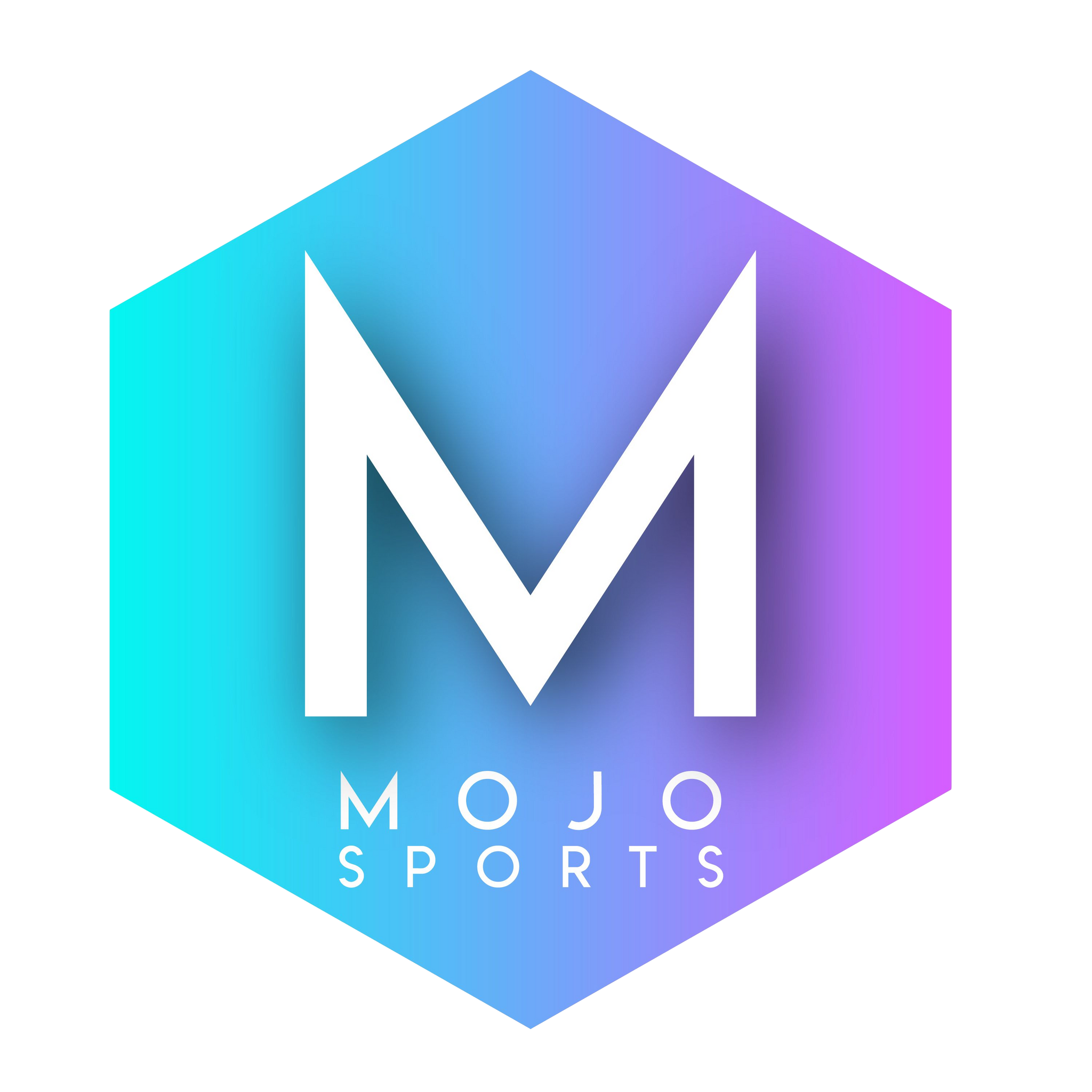 mojo-sports-hoodie-mojo-sports