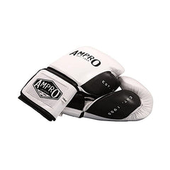 boxing gloves by Ampro