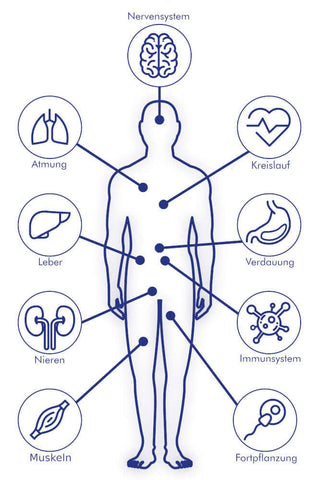 Exposome