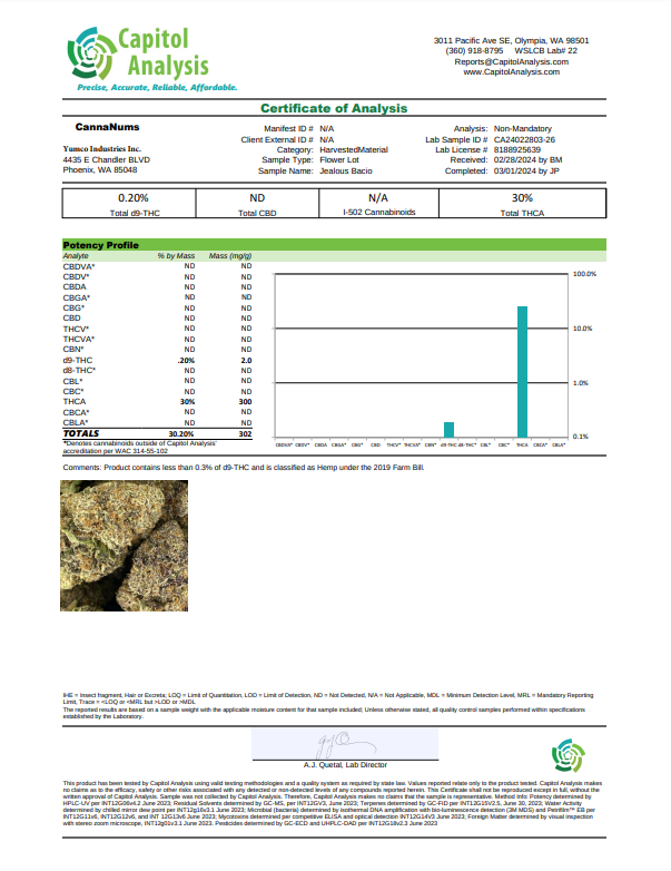 Bacio Jealousy THCa Flower Lab Report