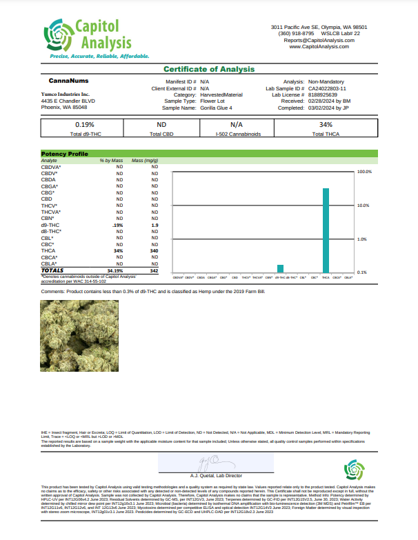 Gorilla Glue #4 THCa Flower Lab Report