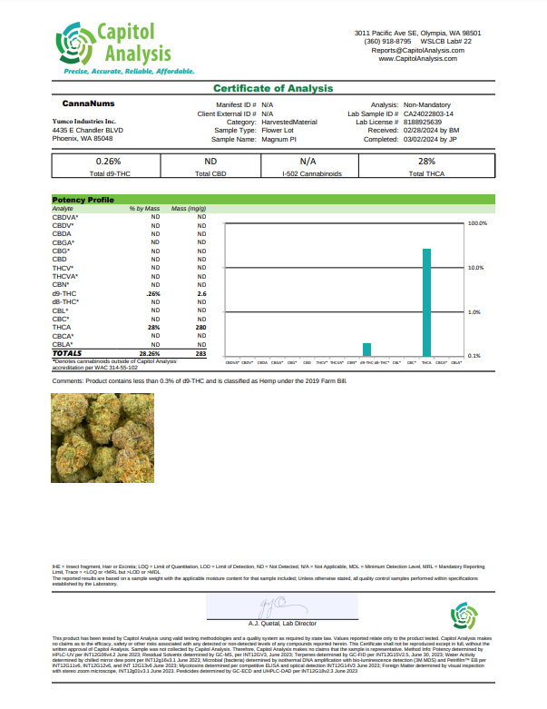 Loudstash Magnum PI THCa Flower Lab Report