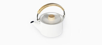 koizumi kaico tea kettle