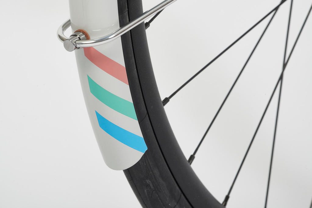 DSS2 mudguard 